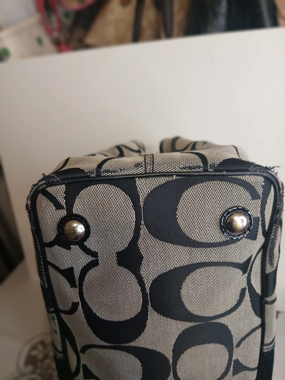 Coach project bag